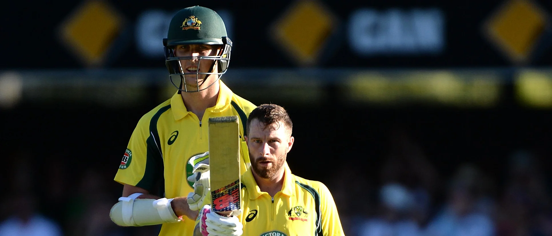 Logo of Matthew Wade celebrates his ODI century against Pakistan in Brisbane