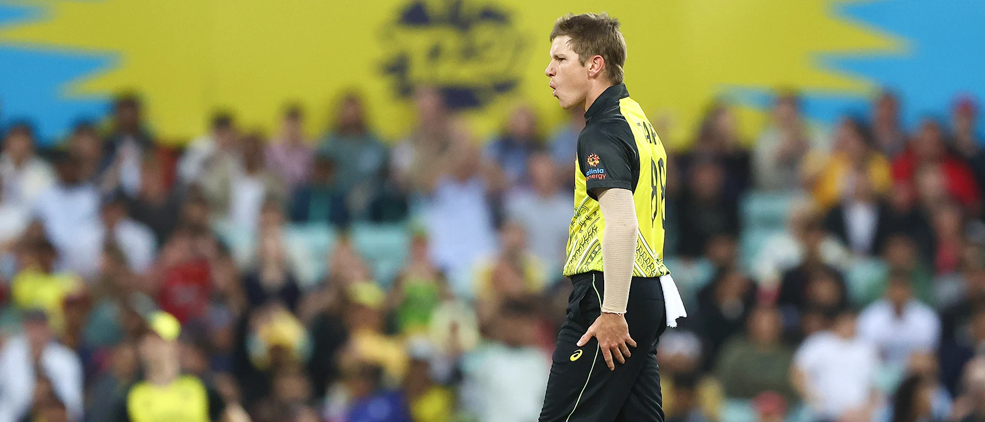 Logo of Adam Zampa