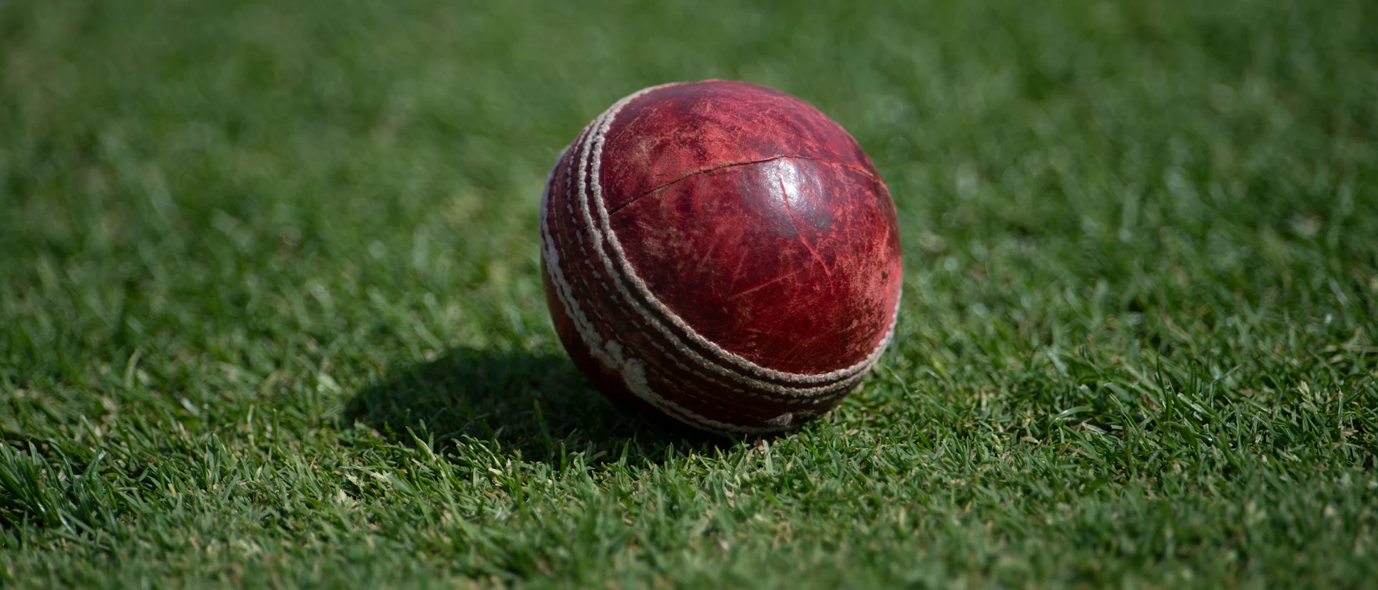 Logo of Generic - red ball