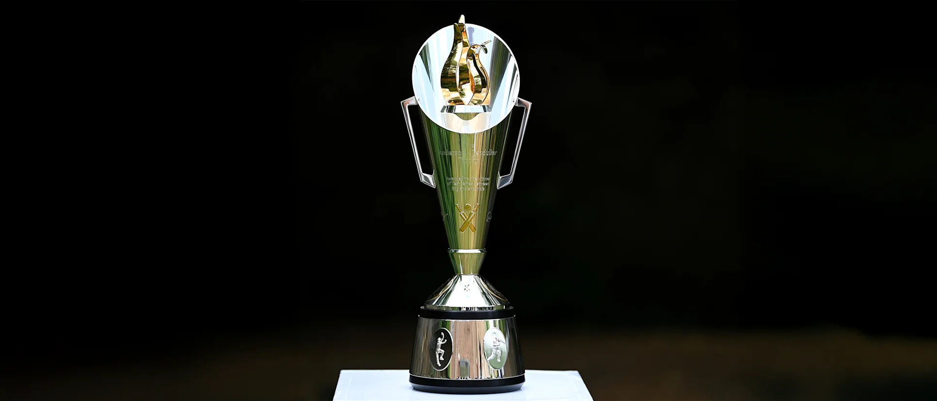 Logo of First look at the Anderson-Tendulkar trophy