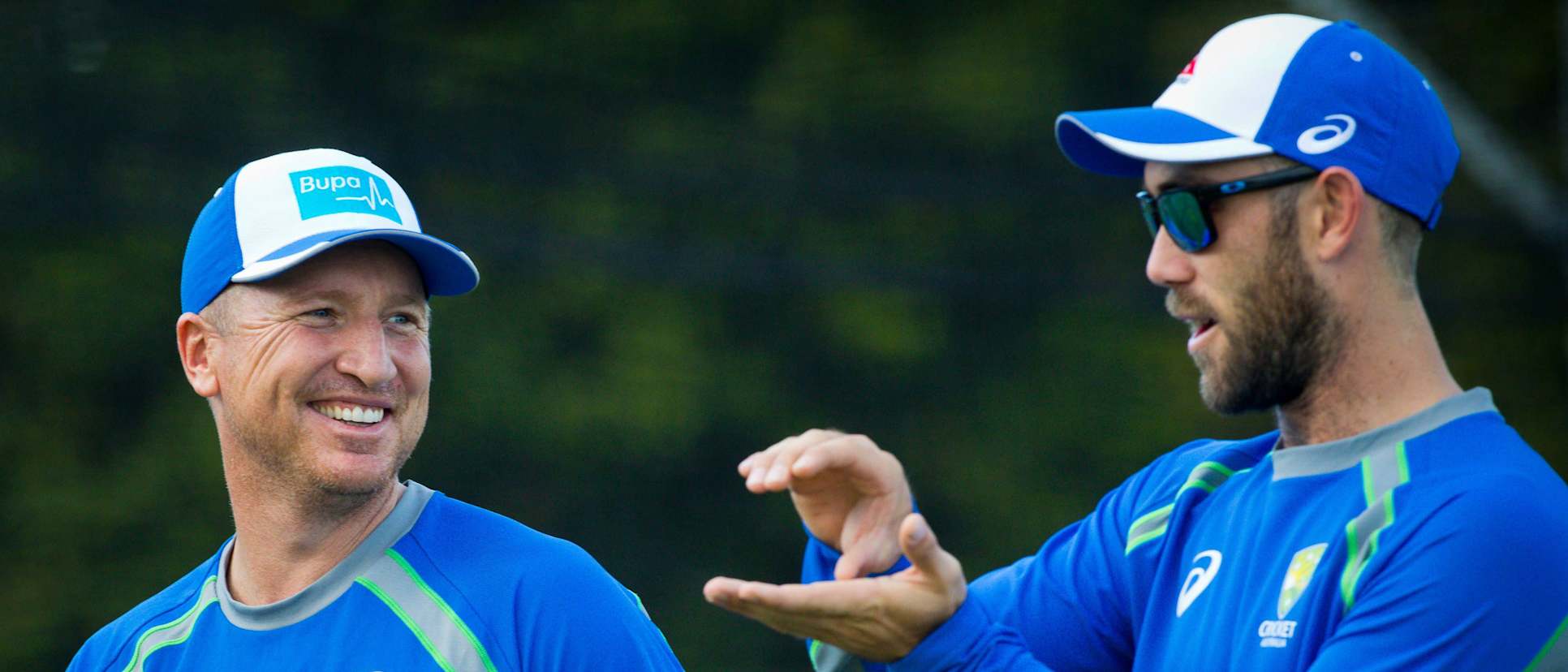 Brad Haddin