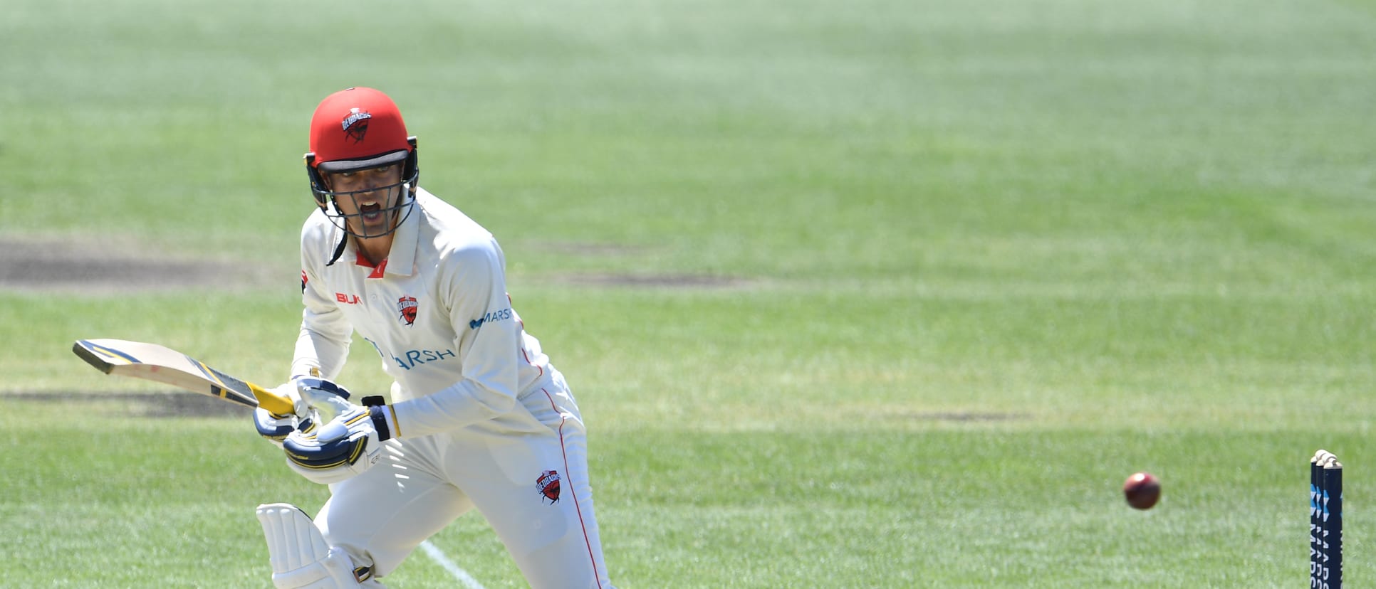 Carey made two hundreds from four Sheffield Shield games in the 2019-20 season