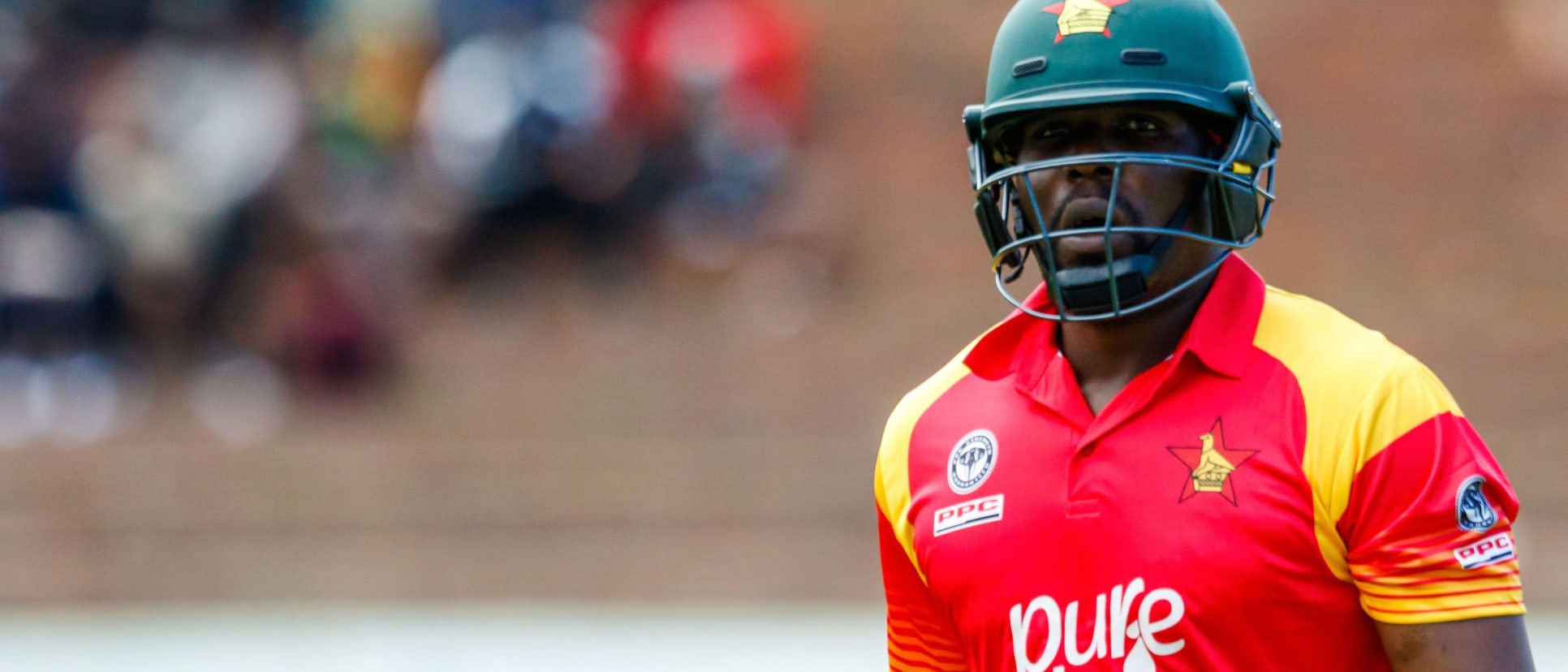 Hamilton Masakadza
