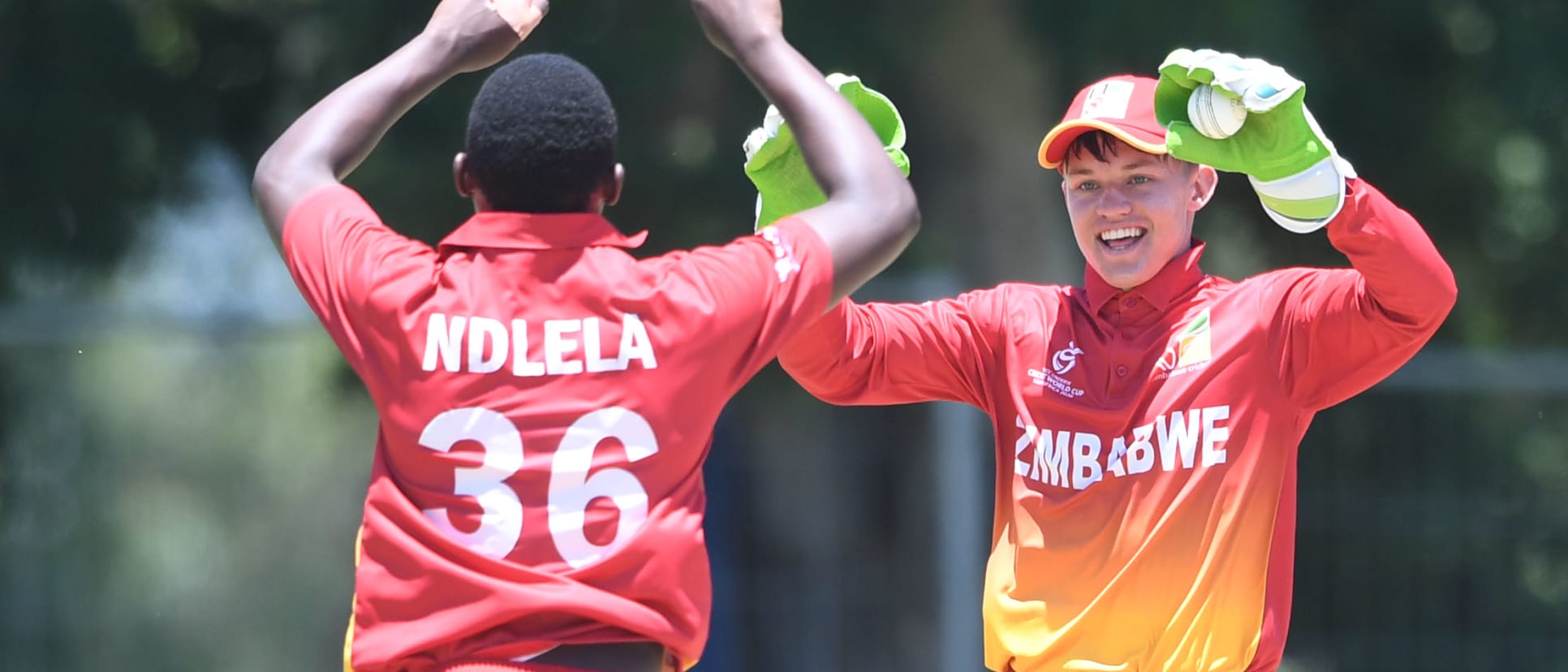 Sakhumuzi Ndlela and Dane Schadendorf of Zimbabwe celebrate the wicket of Tomas Mackintosh of Scotland during the ICC U19 Cricket World Cup Group C match between Zimbabwe and Scotland at Witrand Oval on January 25, 2020 in Potchefstroom, South Africa.