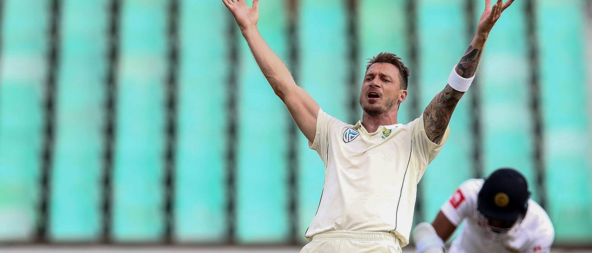 Dale Steyn
