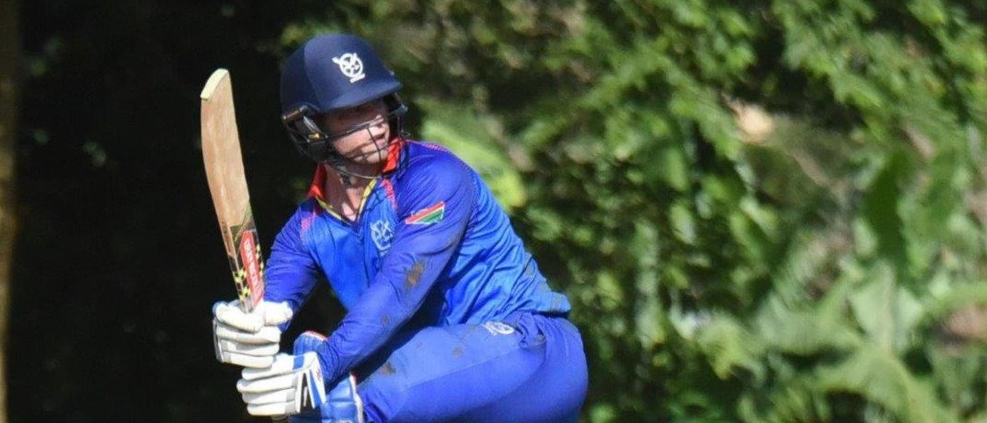 Stephan Baard steered Namibia's straightforward chase with a half-century