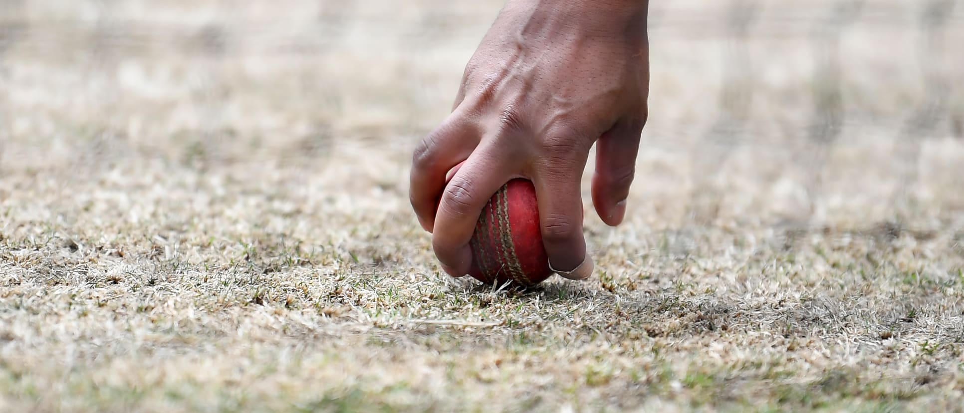 cricket ball