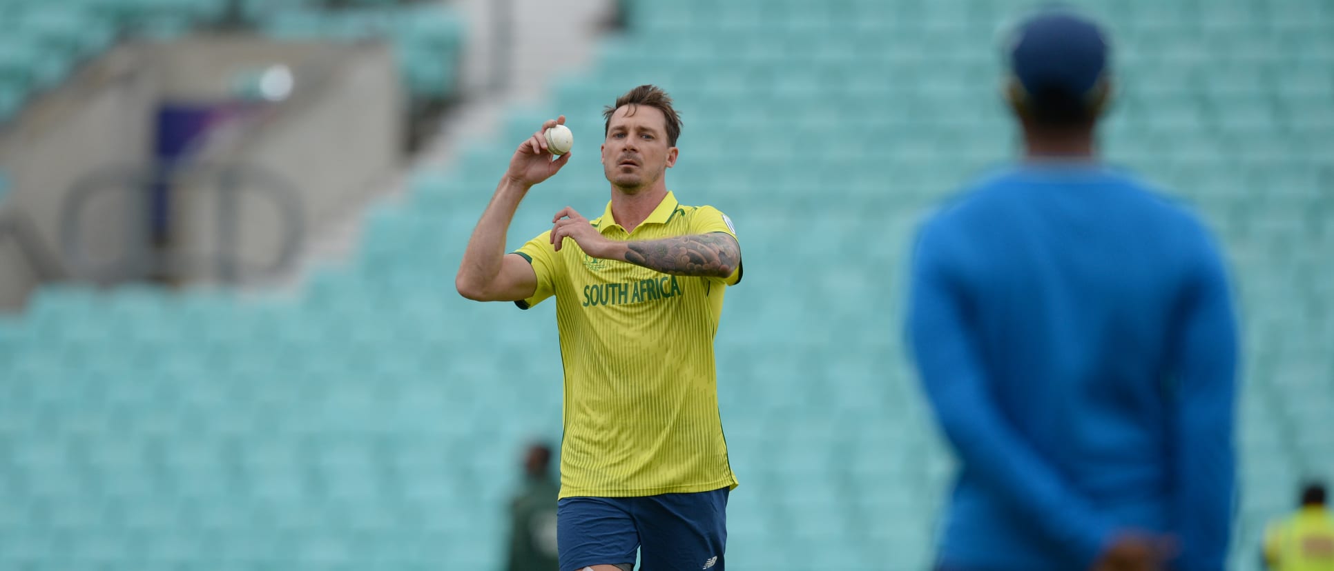 Steyn