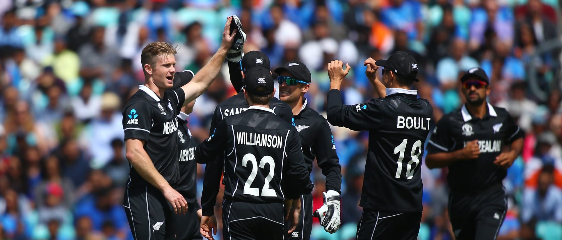 New Zealand celebrate Pandya wicket