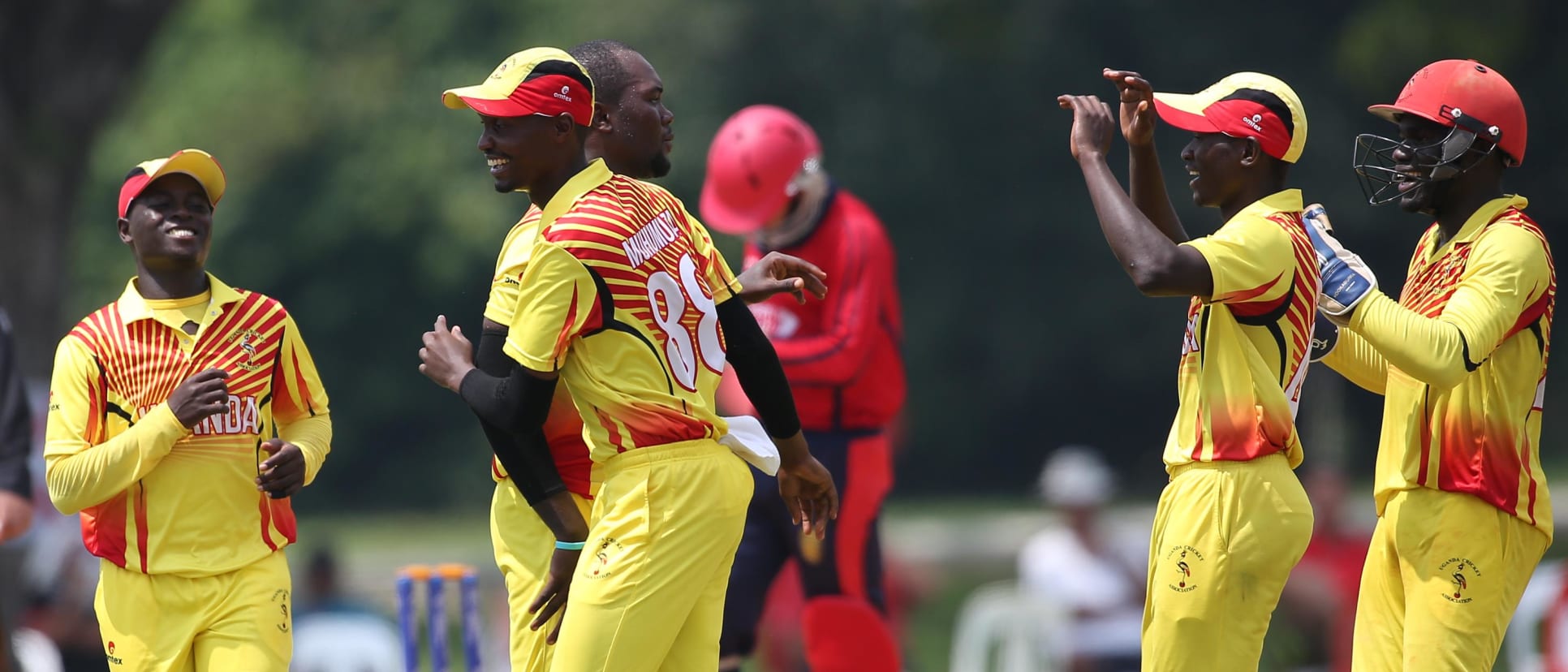 Uganda players celebrate the fall of a Jersey wicket