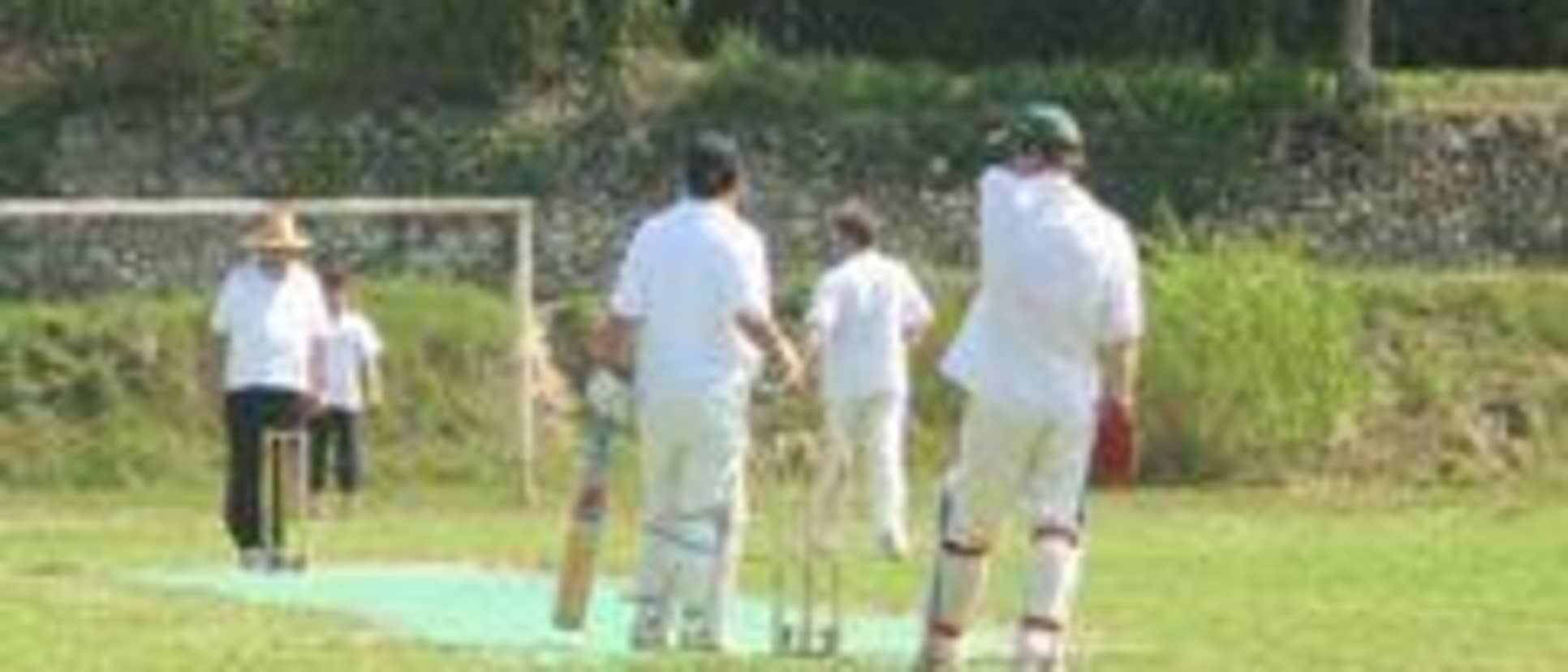 33726 France cricket