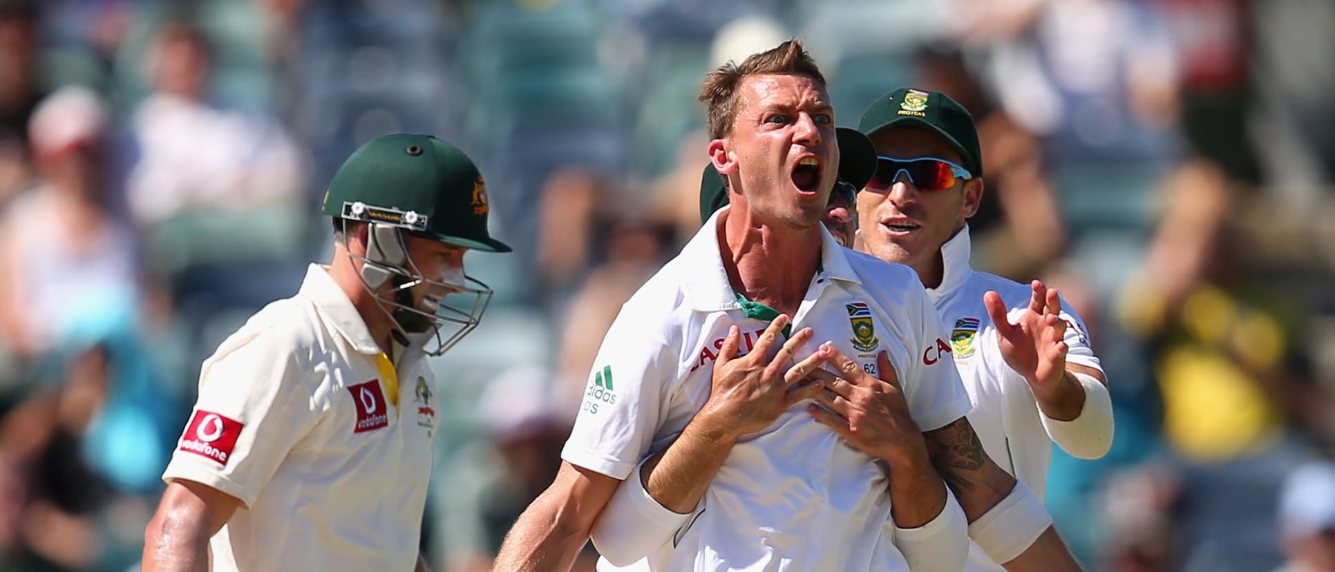 Steyn