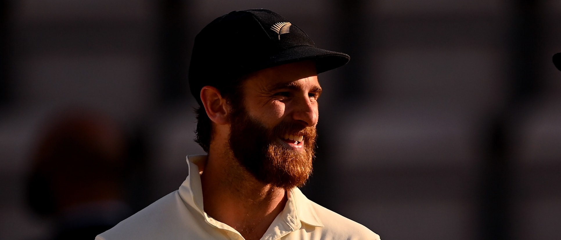 Williamson no.1 Test batter