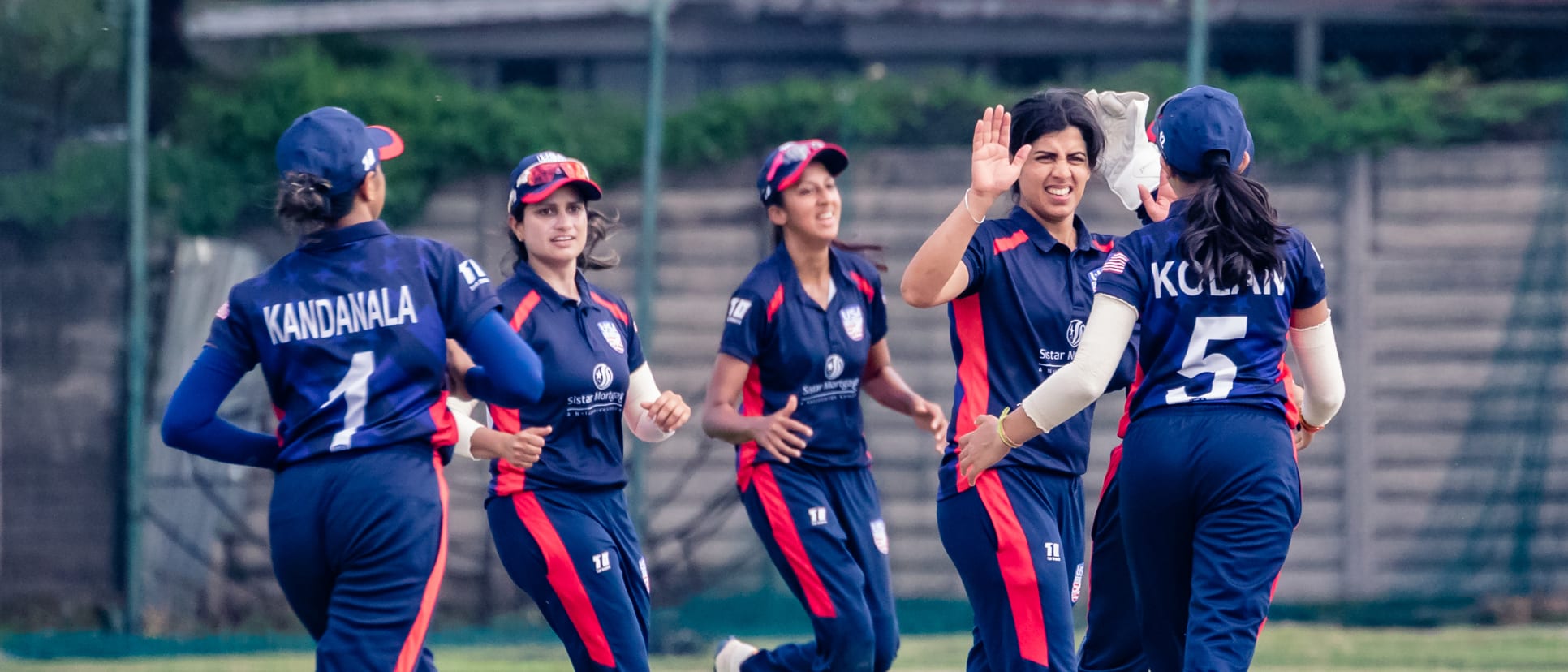 USA celebrate wicket against Zimbabwe