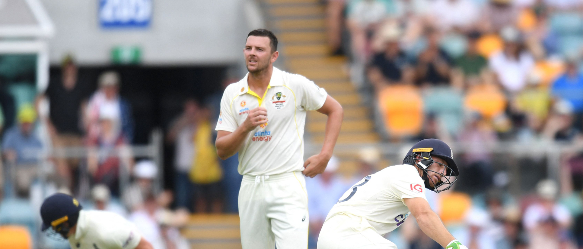 Josh Hazlewood injury