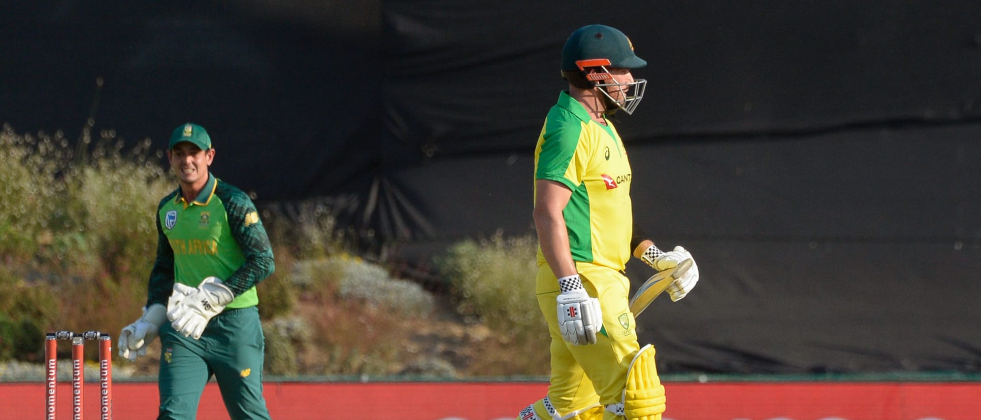 aaron finch