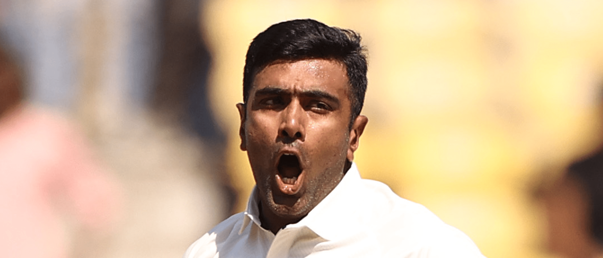 Ravichandran Ashwin of India celebrates taking the wicket of David Warner of Australia during day three of the First Test match in the series between India and Australia 1920x1080