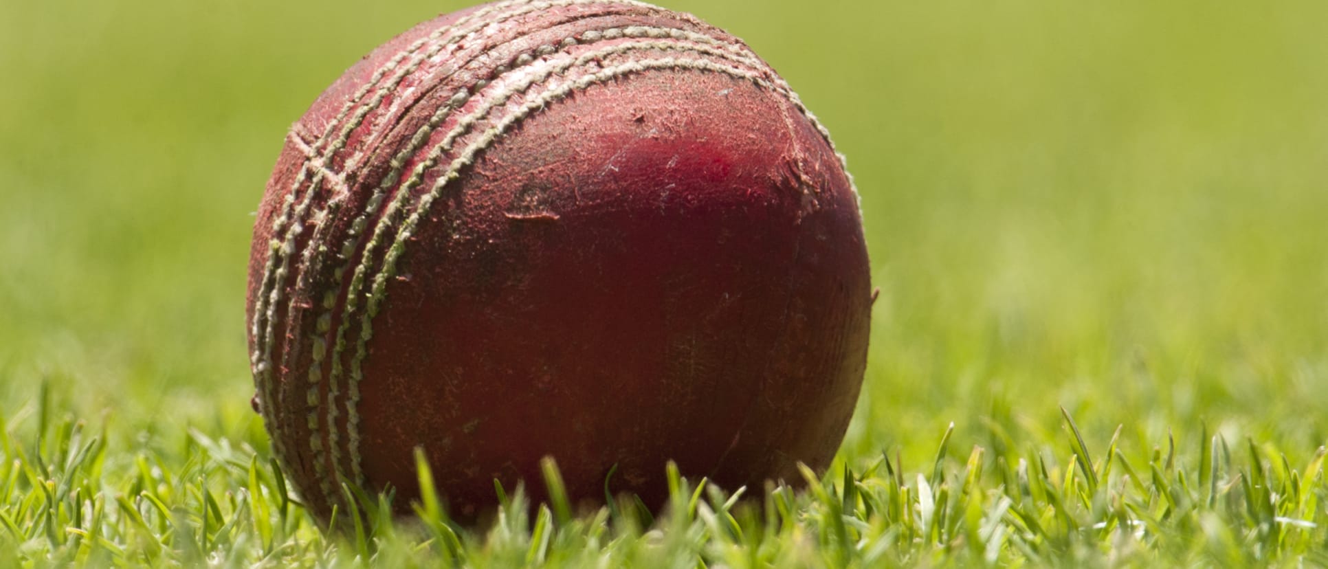 Cricket ball