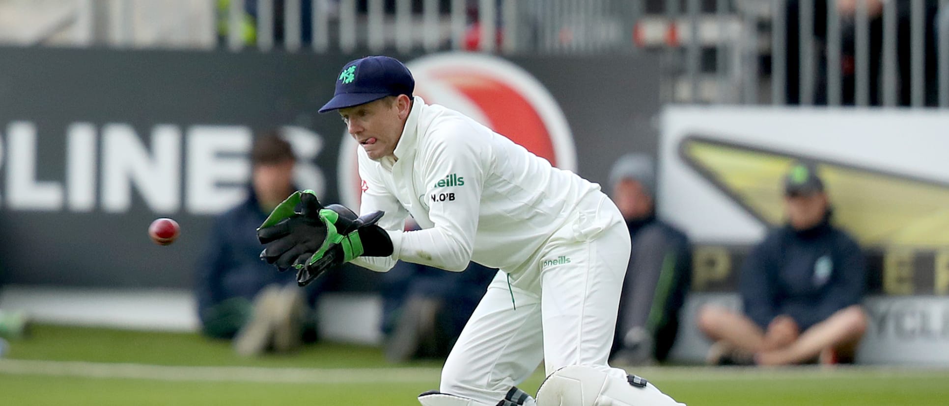 Niall O'Brien holds the record for most international dismissals by an Ireland wicket-keeper