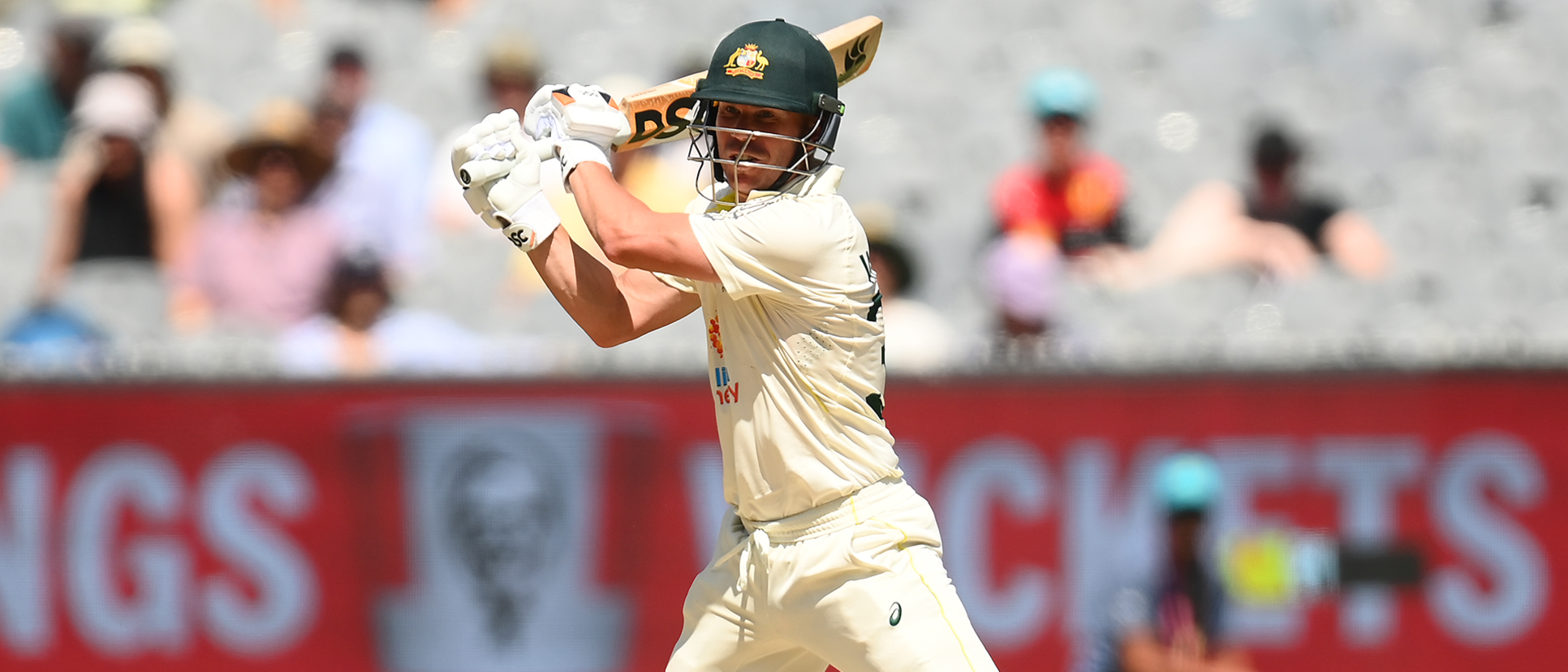 David Warner