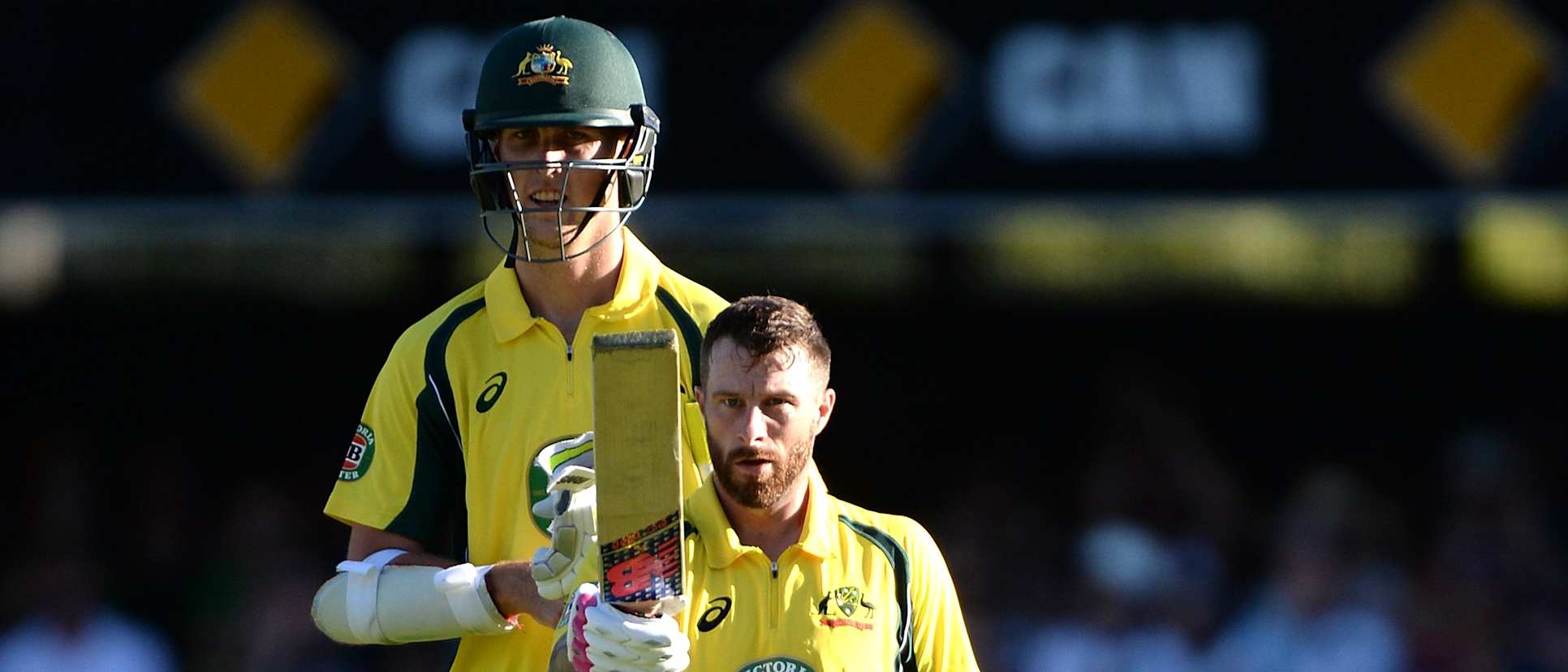 Matthew Wade celebrates his ODI century against Pakistan in Brisbane