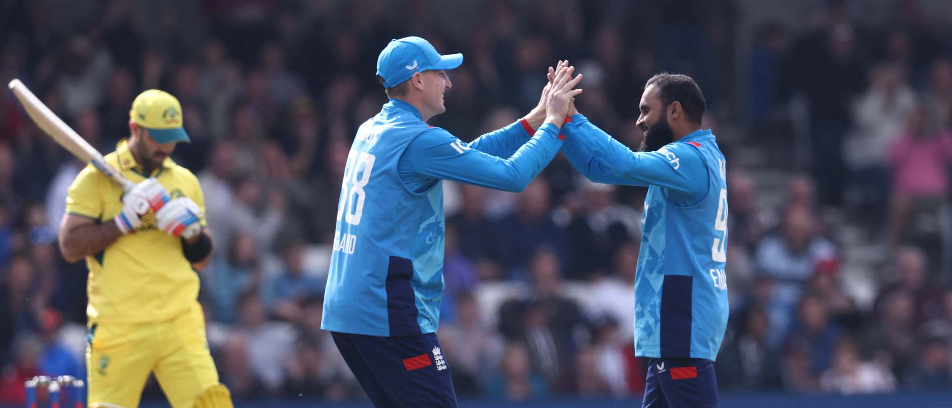 Harry Brook and Adil Rashid celebrate the wicket of Glenn Maxwell
