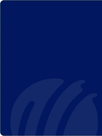 ICC Women's T20 World Cup, 2024-background-image