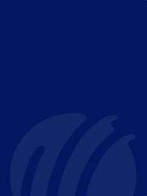 ICC Women's T20 World Cup, 2024-background-image