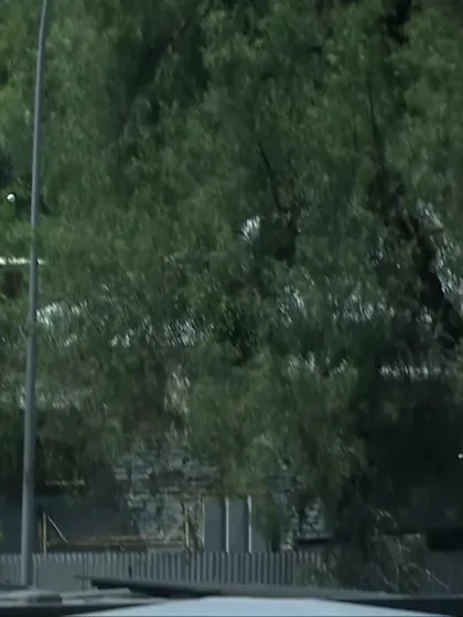 J Andrew with a Six vs. Ireland