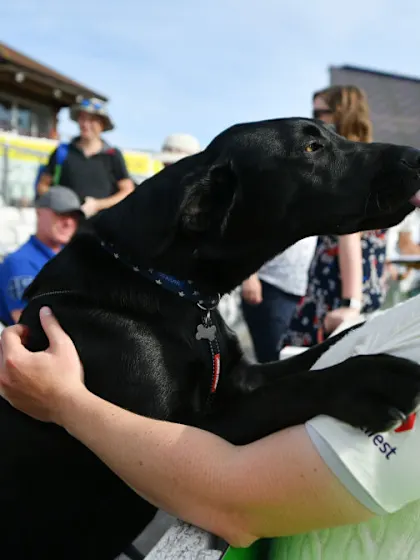 #OnTheUp: The best slip catchers