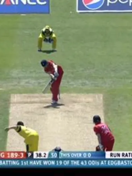 M3: England Wicket Package