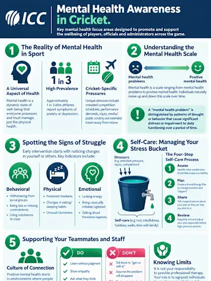Mental Health Scale poster