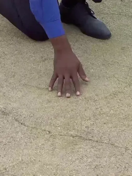 Ireland v Scotland pitch report