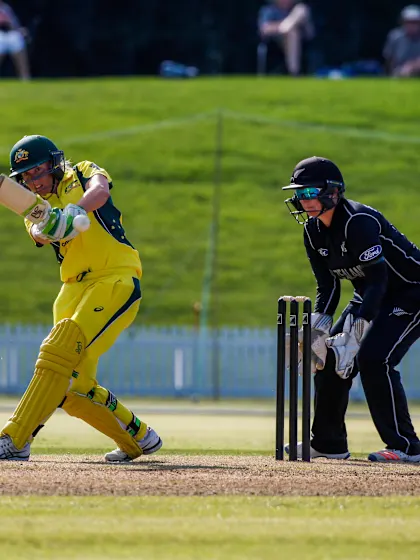 Alyssa Healy aiming to get her name on her family's honours board