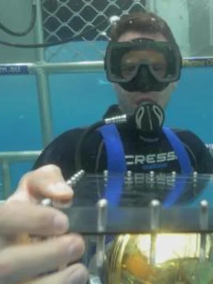 Australia Trophy Tour: Shark Diving with Shaun Tait