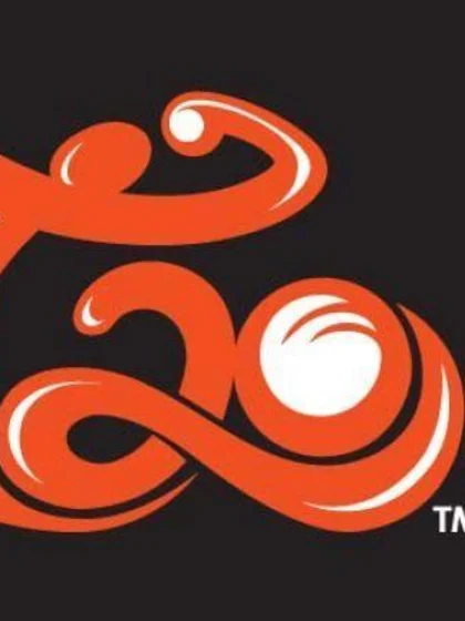 ICC publishes News Access Regulations for ICC WT20 SL 2012