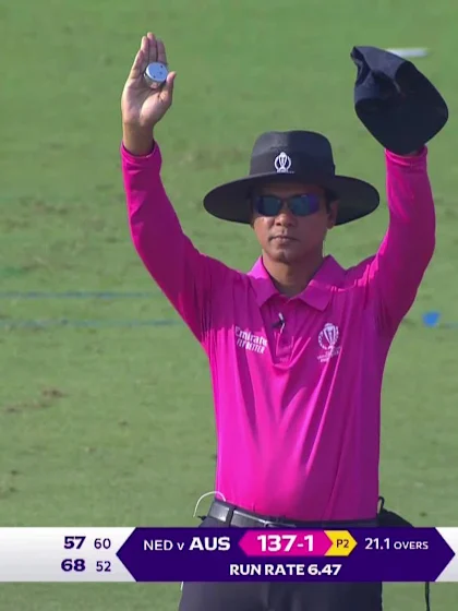 David Warner - Six - Australia vs Netherlands
