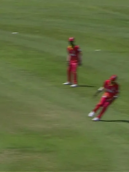 Logo of David Teeger with a Four vs. Zimbabwe