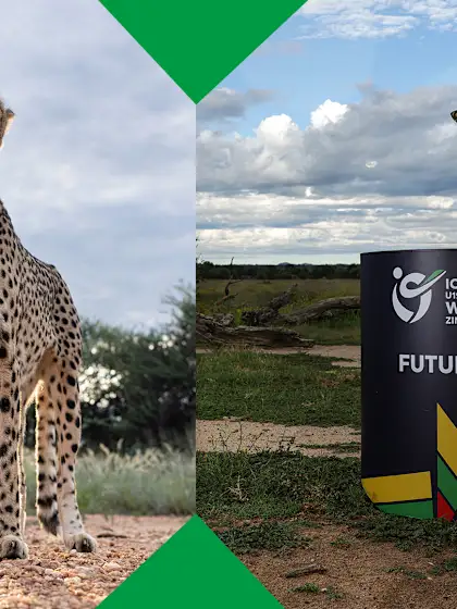 Come meet the future stars | U19 Men's World Cup 2026