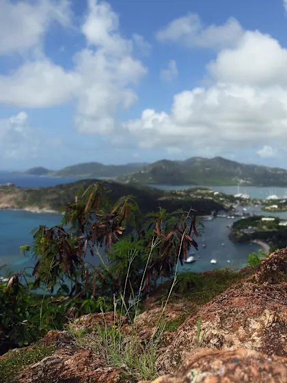 Media Information for ICC Women’s T20 World Cup 2023 – Friday, 10 February