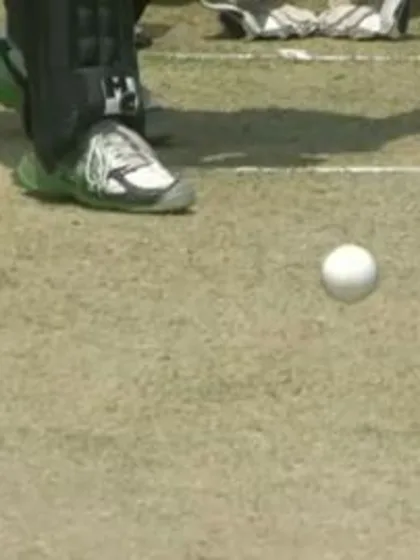 M11: Zim v UAE  -Sean Williams Bowling Package