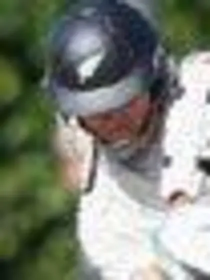 The year of the rabbit