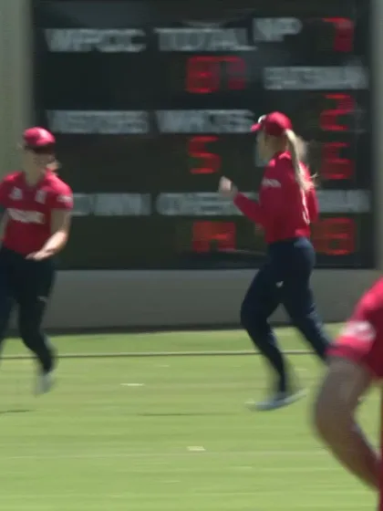 Logo of Wicket-Amelia-Kerr-England-Women v New-Zealand-Women ICC T20WC 2023