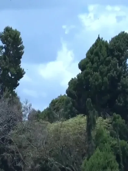 Lee Young with a Six vs. West Indies