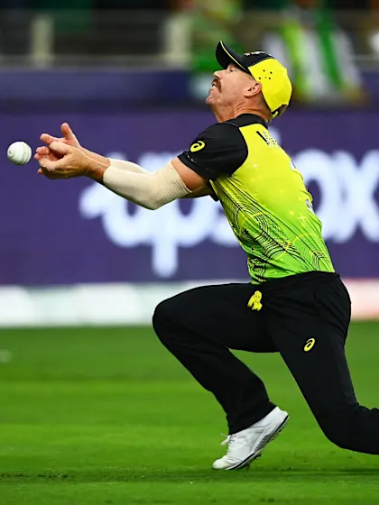 Warner almost pulls off ridiculous catch