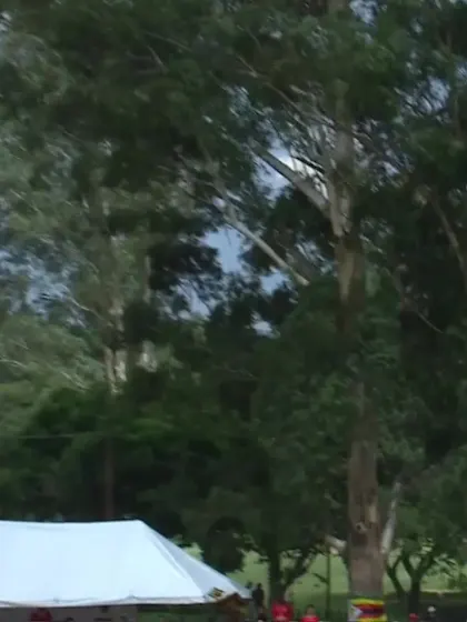 Ben Mayes with a Six vs. Zimbabwe