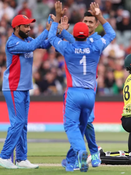 Logo of Marsh dismissal slows Australia progress | T20WC 2022