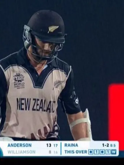 Kane Williamson Wicket Fall NZ V IND Video ICC WT20 2016