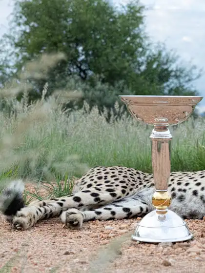 A general view of the ICC U19 Men's Cricket World Cup Trophy prior to the ICC U19 Men's Cricket World Cup 2026 at Naankuse Foundation Wildlife Sanctuary on January 14, 2026 in Windhoek, Namibia. (Photo by ICC via Getty Images)