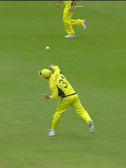 Warner's brilliance on the field